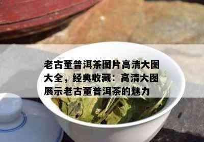 老古董普洱茶图片高清大图大全，经典收藏：高清大图展示老古董普洱茶的魅力