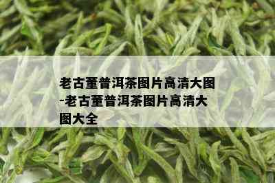 老古董普洱茶图片高清大图-老古董普洱茶图片高清大图大全