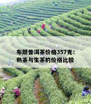 布朗普洱茶价格357克：熟茶与生茶的价格比较