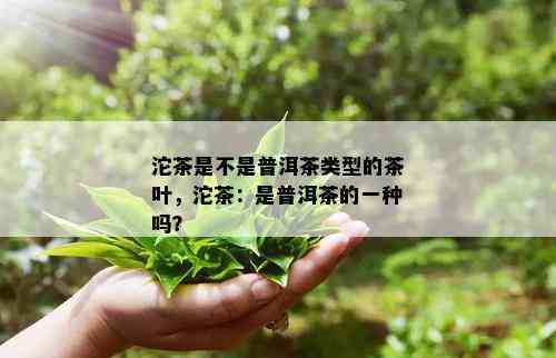 沱茶是不是普洱茶类型的茶叶，沱茶：是普洱茶的一种吗？