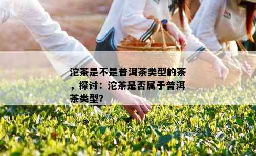 沱茶是不是普洱茶类型的茶，探讨：沱茶是否属于普洱茶类型？