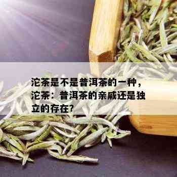 沱茶是不是普洱茶的一种，沱茶：普洱茶的亲戚还是独立的存在？