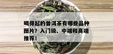 喝得起的普洱茶有哪些品种图片？入门级、中端和高端推荐！