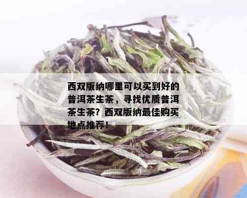 西双版纳哪里可以买到好的普洱茶生茶，寻找优质普洱茶生茶？西双版纳更佳购买地点推荐！