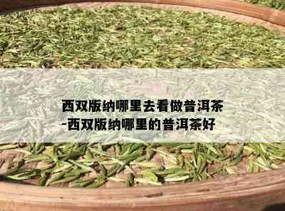 西双版纳哪里去看做普洱茶-西双版纳哪里的普洱茶好