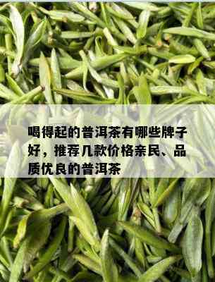 喝得起的普洱茶有哪些牌子好，推荐几款价格亲民、品质优良的普洱茶