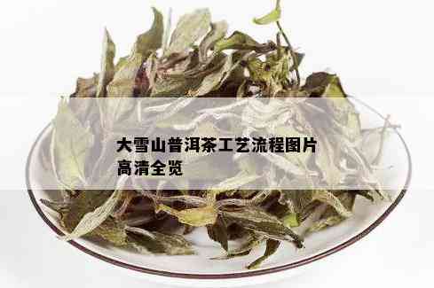 大雪山普洱茶工艺流程图片高清全览