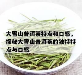 大雪山普洱茶特点和口感，探秘大雪山普洱茶的独特特点与口感