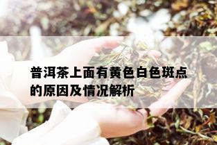 普洱茶上面有黄色白色斑点的原因及情况解析