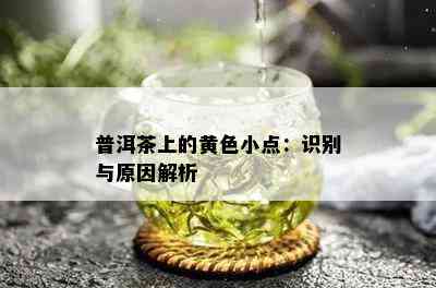 普洱茶上的黄色小点：识别与原因解析