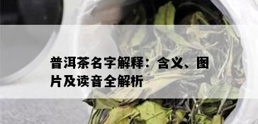 普洱茶名字解释：含义、图片及读音全解析