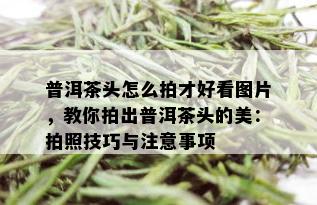 普洱茶头怎么拍才好看图片，教你拍出普洱茶头的美：拍照技巧与注意事项