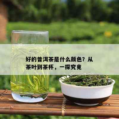 好的普洱茶是什么颜色？从茶叶到茶杯，一探究竟