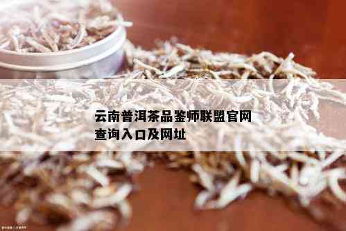 云南普洱茶品鉴师联盟官网查询入口及网址