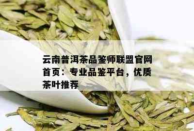 云南普洱茶品鉴师联盟官网首页：专业品鉴平台，优质茶叶推荐