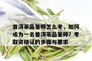 普洱茶品鉴师怎么考，如何成为一名普洱茶品鉴师？考取资格证的步骤与要求