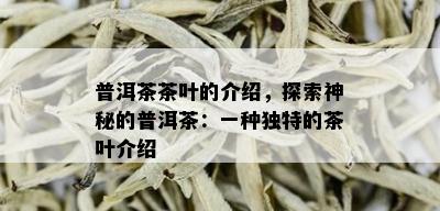 普洱茶茶叶的介绍，探索神秘的普洱茶：一种独特的茶叶介绍