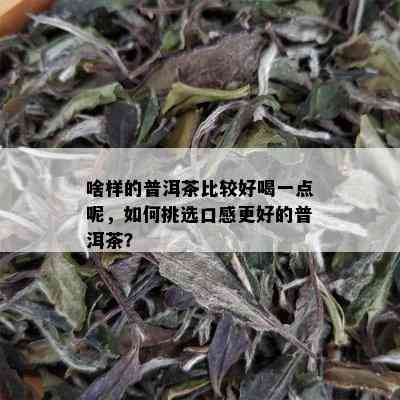 啥样的普洱茶比较好喝一点呢，如何挑选口感更好的普洱茶？