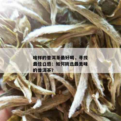 啥样的普洱茶更好喝，寻找更佳口感：如何挑选最美味的普洱茶？