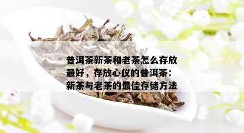 普洱茶新茶和老茶怎么存放更好，存放心仪的普洱茶：新茶与老茶的更佳存储方法