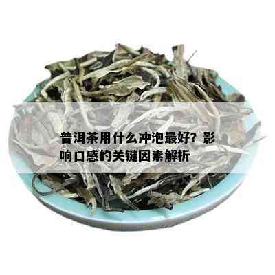 普洱茶用什么冲泡更好？影响口感的关键因素解析