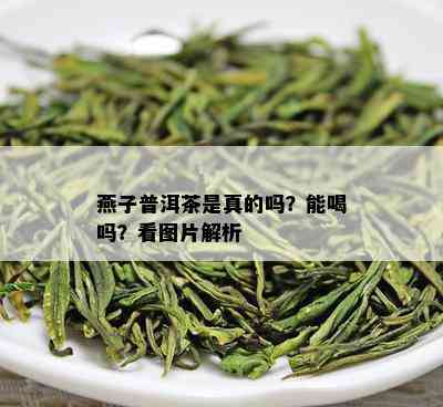 燕子普洱茶是真的吗？能喝吗？看图片解析