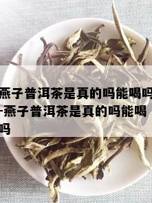 燕子普洱茶是真的吗能喝吗-燕子普洱茶是真的吗能喝吗