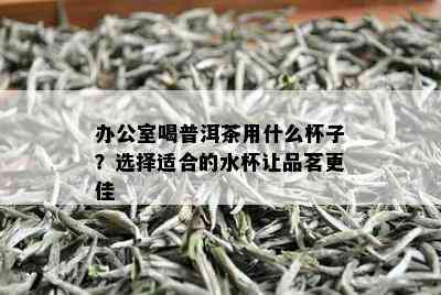 办公室喝普洱茶用什么杯子？选择适合的水杯让品茗更佳