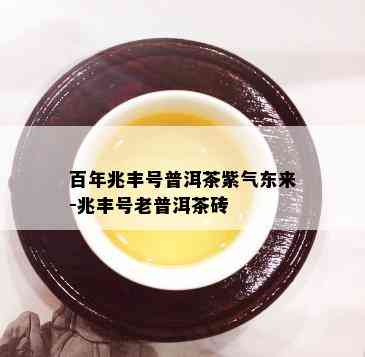 百年兆丰号普洱茶紫气东来-兆丰号老普洱茶砖