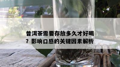 普洱茶需要存放多久才好喝？影响口感的关键因素解析