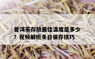 普洱茶存放更佳温度是多少？视频解析冬日保存技巧