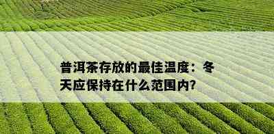 普洱茶存放的更佳温度：冬天应保持在什么范围内？