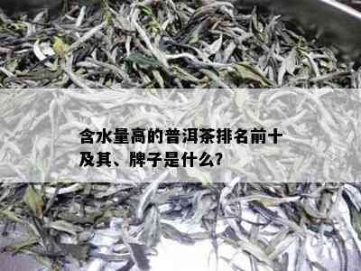 含水量高的普洱茶排名前十及其、牌子是什么？