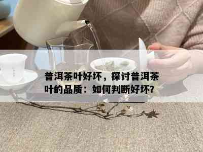 普洱茶叶好坏，探讨普洱茶叶的品质：如何判断好坏？