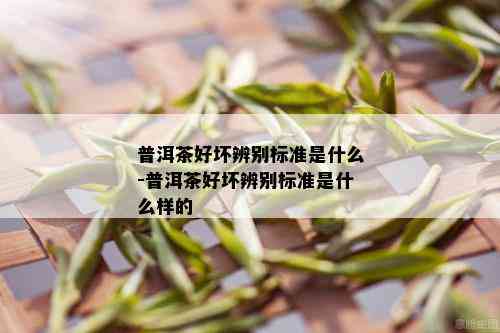 普洱茶好坏辨别标准是什么-普洱茶好坏辨别标准是什么样的