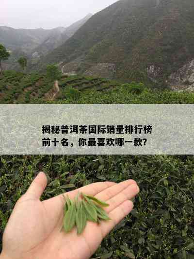 揭秘普洱茶国际销量排行榜前十名，你最喜欢哪一款？