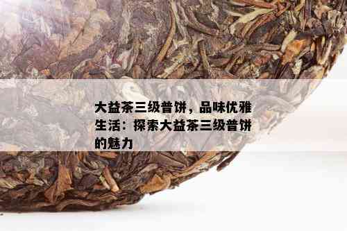 大益茶三级普饼，品味优雅生活：探索大益茶三级普饼的魅力