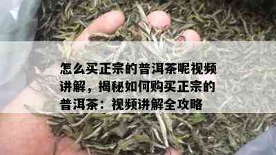 怎么买正宗的普洱茶呢视频讲解，揭秘如何购买正宗的普洱茶：视频讲解全攻略