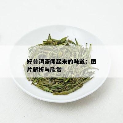 好普洱茶闻起来的味道：图片解析与欣赏