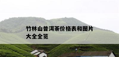 竹林山普洱茶价格表和图片大全全览