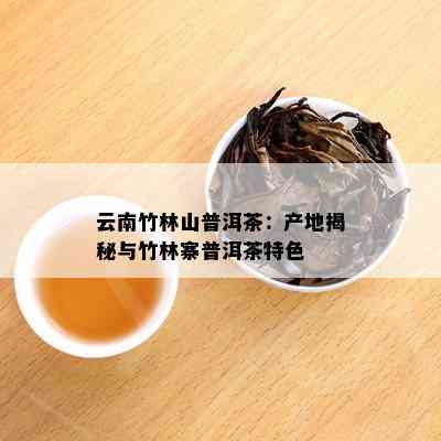 云南竹林山普洱茶：产地揭秘与竹林寨普洱茶特色