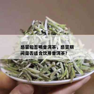 感冒能否喝普洱茶，感冒期间是否适合饮用普洱茶？