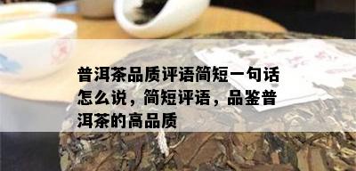 普洱茶品质评语简短一句话怎么说，简短评语，品鉴普洱茶的高品质