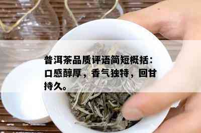 普洱茶品质评语简短概括：口感醇厚，香气独特，回甘持久。