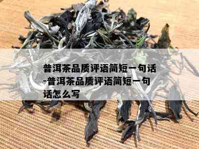 普洱茶品质评语简短一句话-普洱茶品质评语简短一句话怎么写