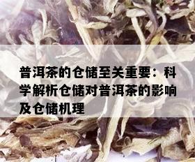 普洱茶的仓储至关重要：科学解析仓储对普洱茶的影响及仓储机理