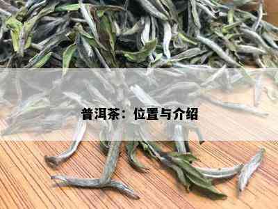 普洱茶：位置与介绍