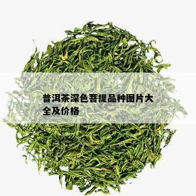 普洱茶深色菩提品种图片大全及价格