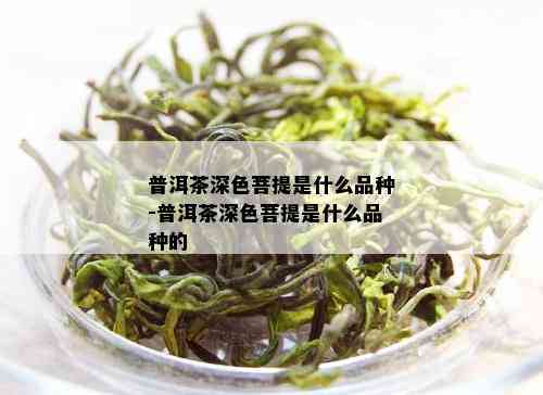 普洱茶深色菩提是什么品种-普洱茶深色菩提是什么品种的