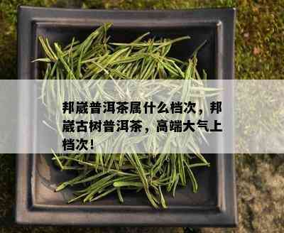 邦崴普洱茶属什么档次，邦崴古树普洱茶，高端大气上档次！